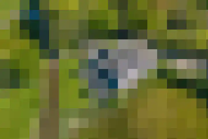 Langakkers 7 Schipborg thumbnail 80