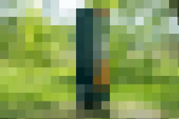 Langakkers 7 Schipborg thumbnail 81