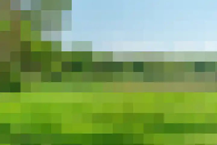 Langakkers 7 Schipborg thumbnail 82