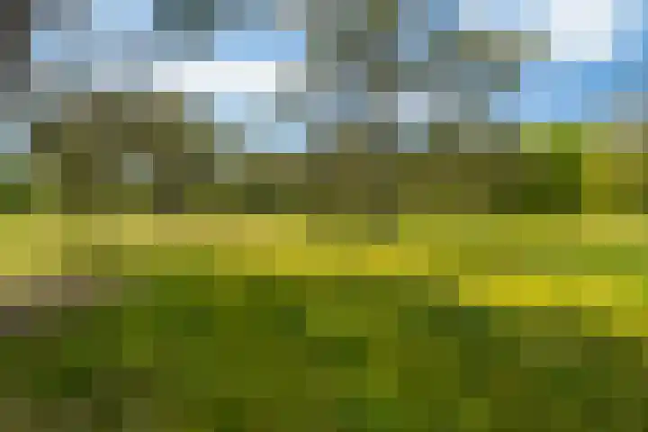Langakkers 7 Schipborg thumbnail 83