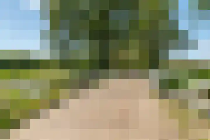 Langakkers 7 Schipborg thumbnail 84