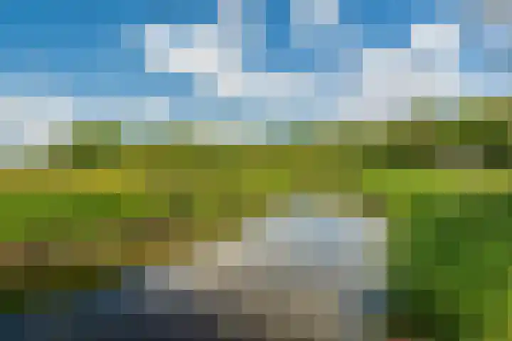 Langakkers 7 Schipborg thumbnail 85