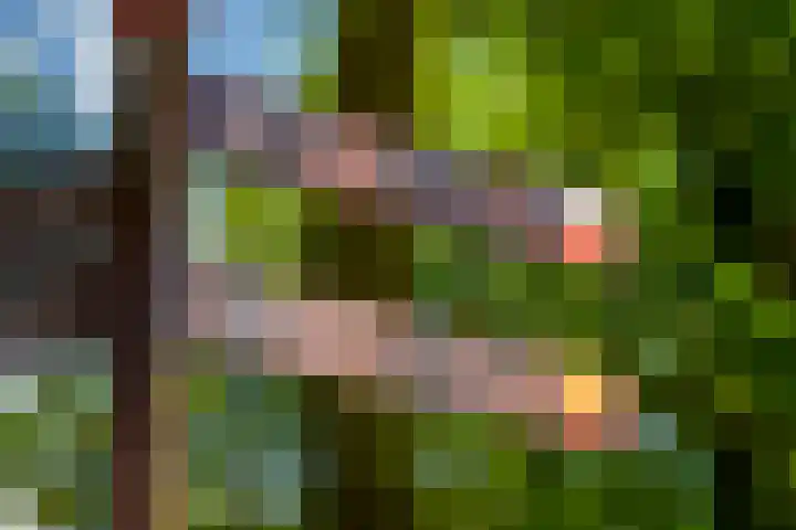 Langakkers 7 Schipborg thumbnail 86