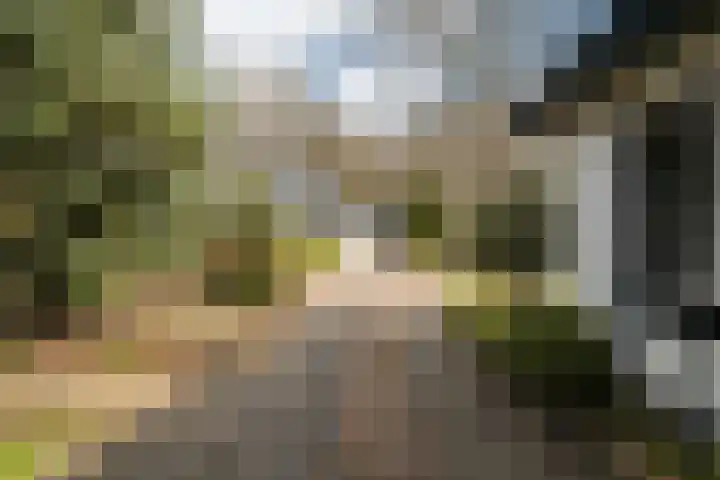 Langakkers 7 Schipborg thumbnail 9