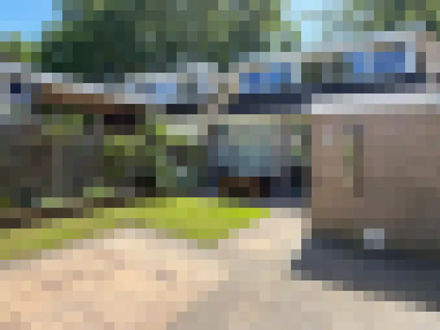 Langbos 10 Oosterhesselen thumbnail 10