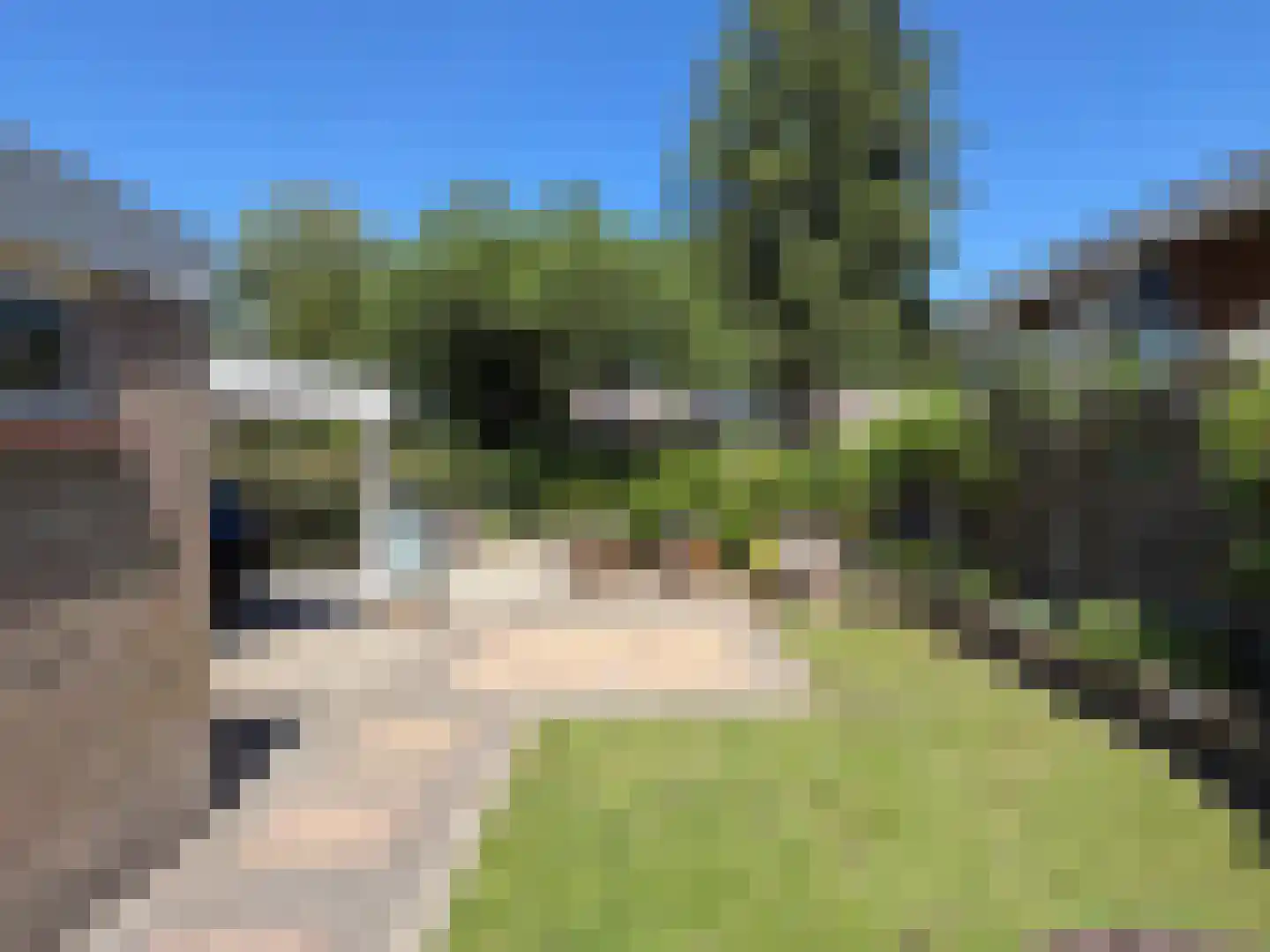 Langbos 10 Oosterhesselen thumbnail 11