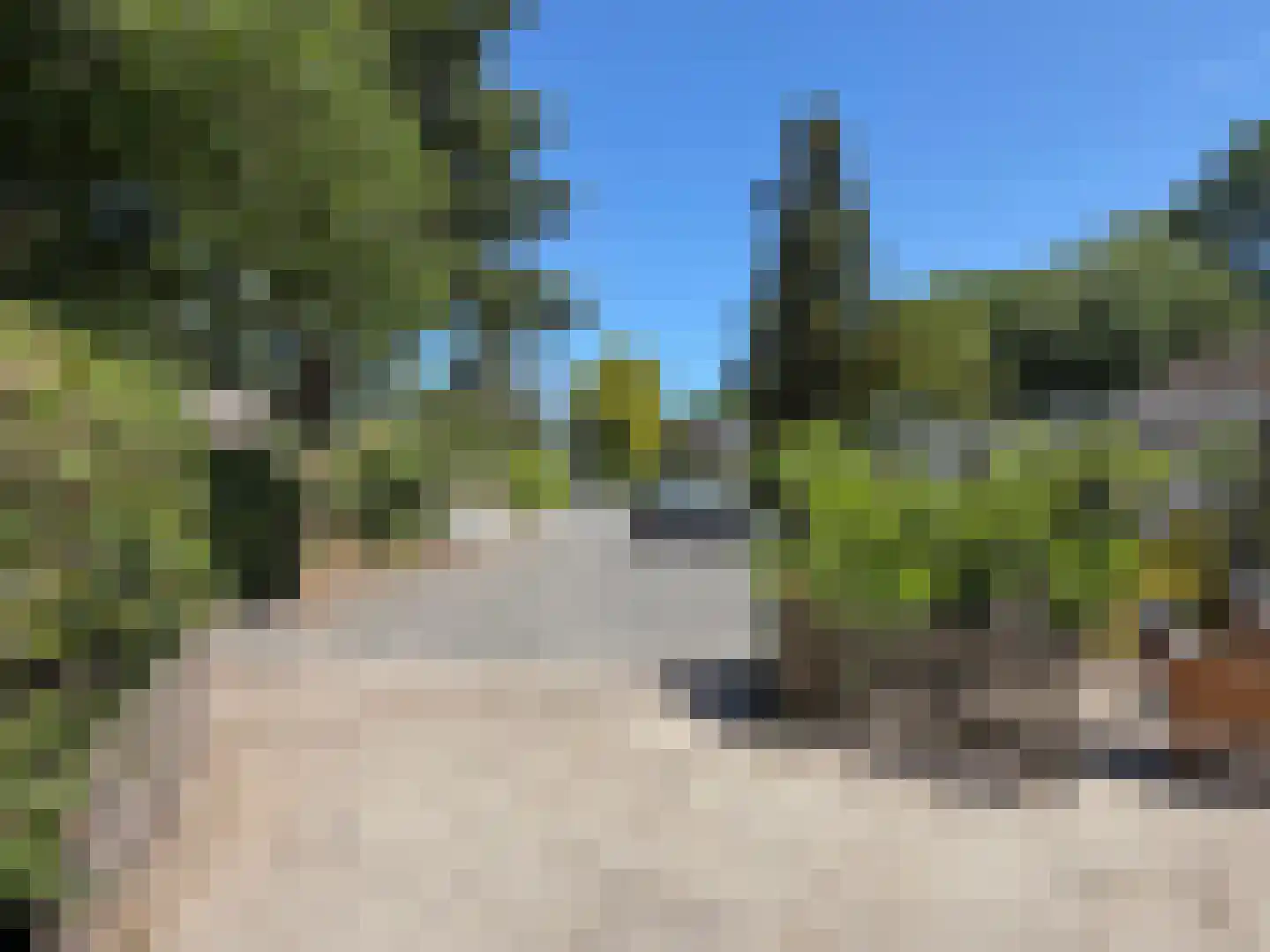 Langbos 10 Oosterhesselen thumbnail 12