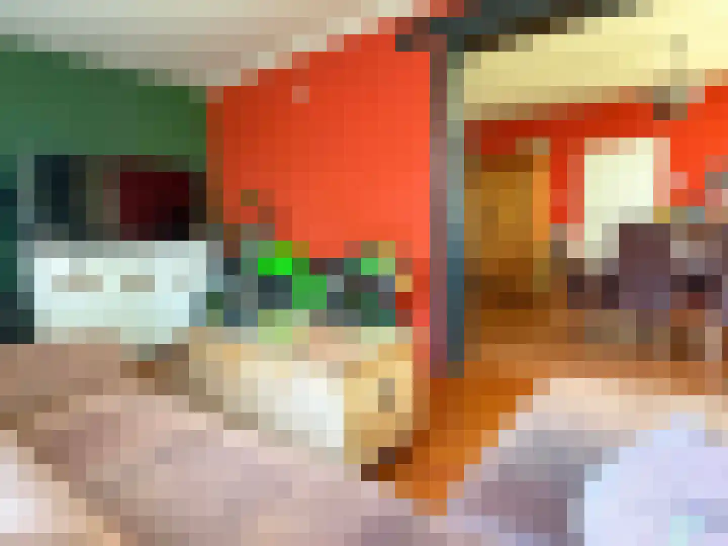 Langbos 10 Oosterhesselen thumbnail 15