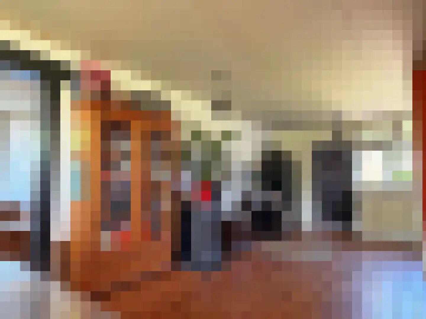 Langbos 10 Oosterhesselen thumbnail 18