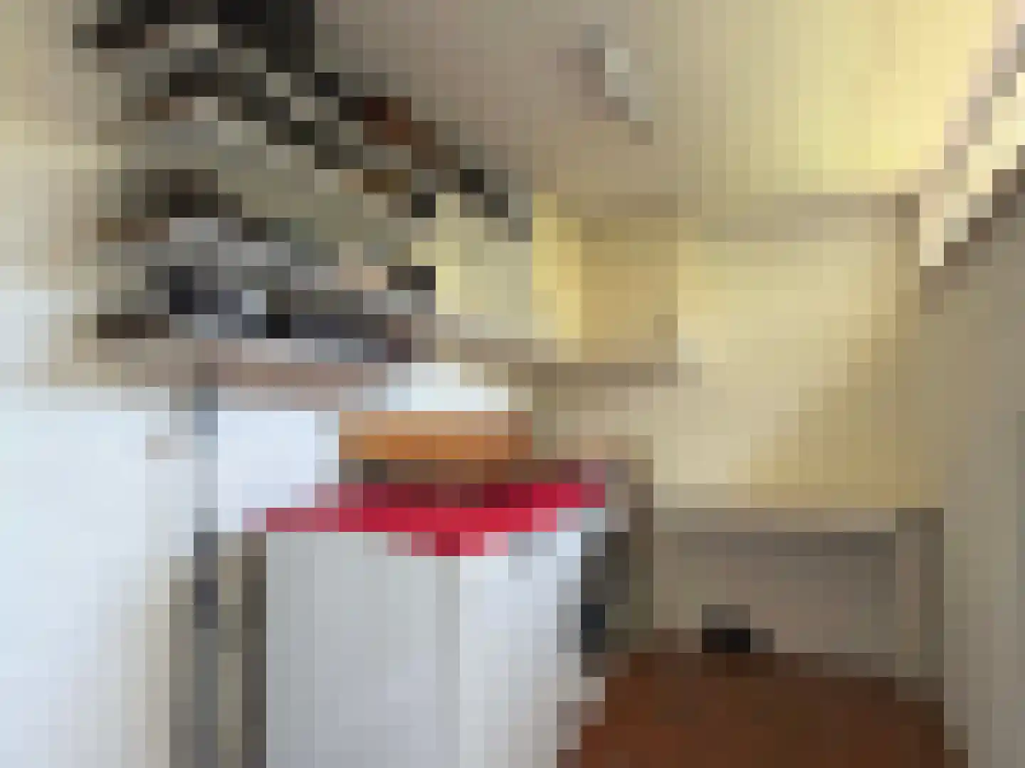 Langbos 10 Oosterhesselen thumbnail 19