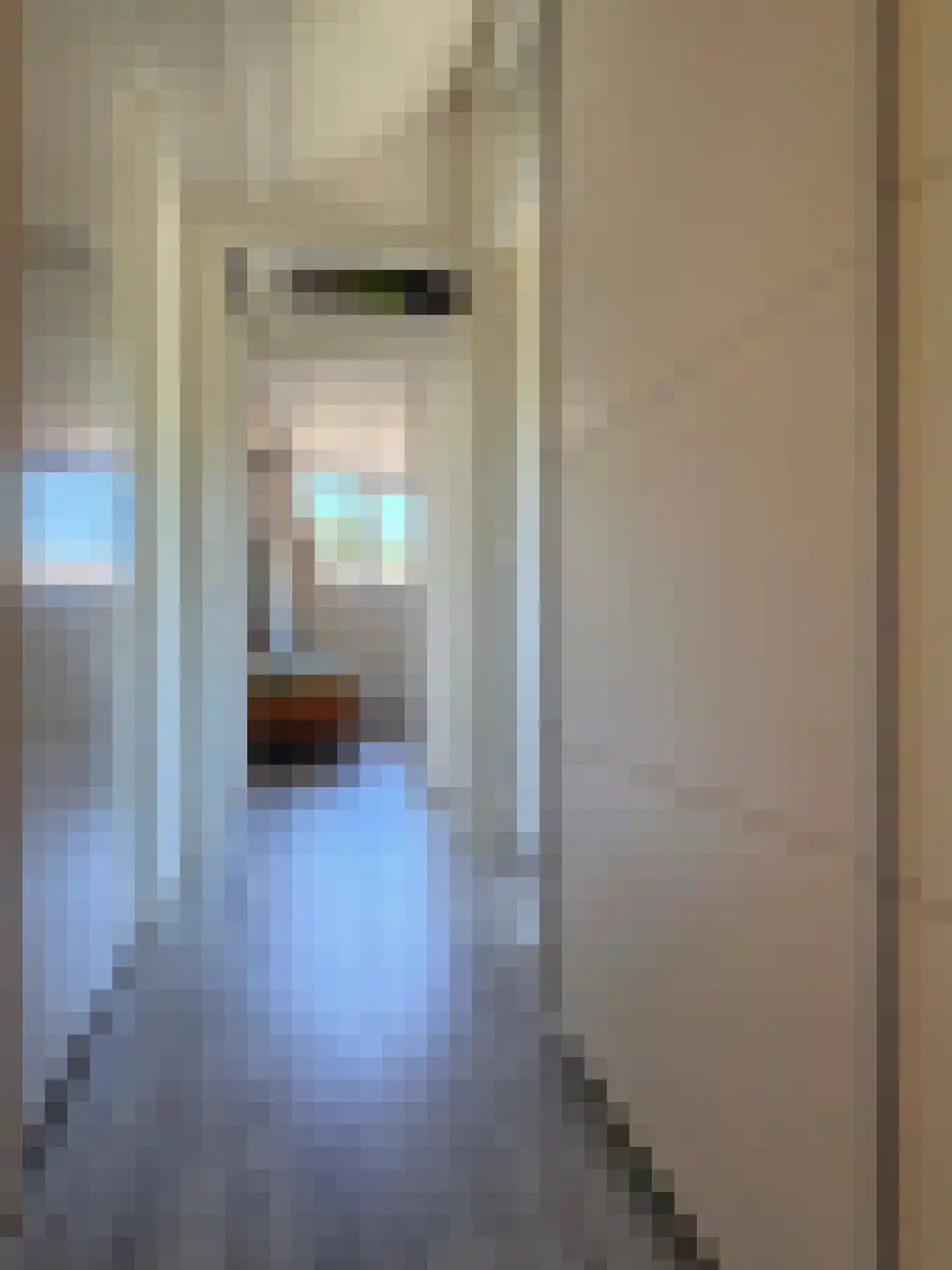 Langbos 10 Oosterhesselen thumbnail 25