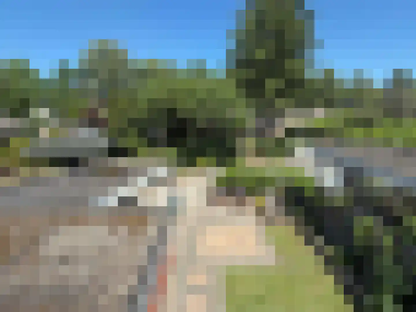 Langbos 10 Oosterhesselen thumbnail 31