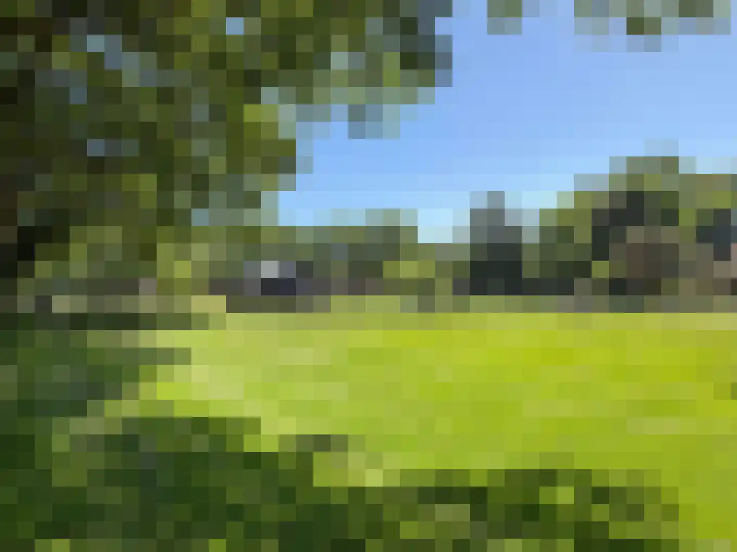 Langbos 10 Oosterhesselen thumbnail 4