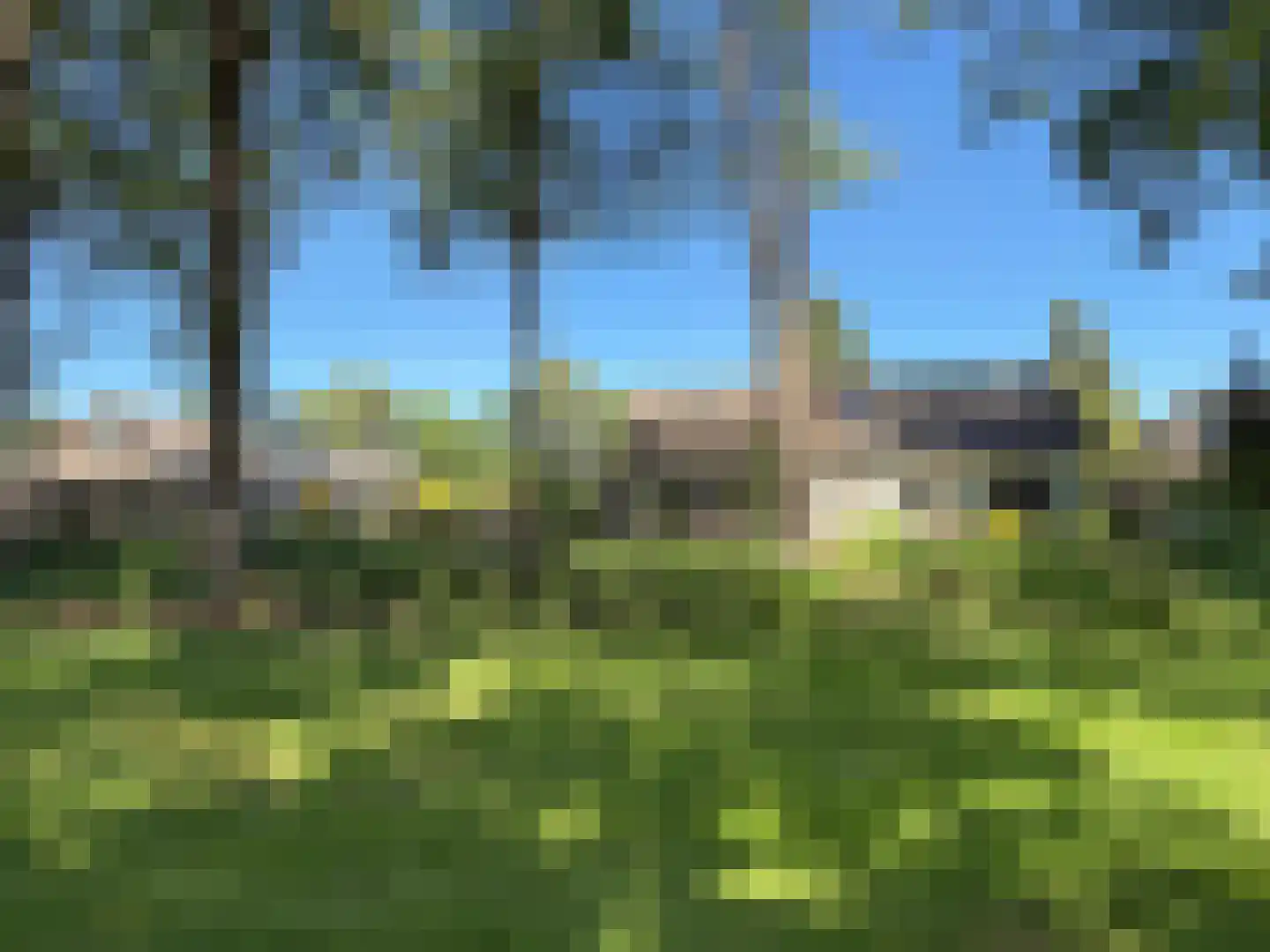 Langbos 10 Oosterhesselen thumbnail 5