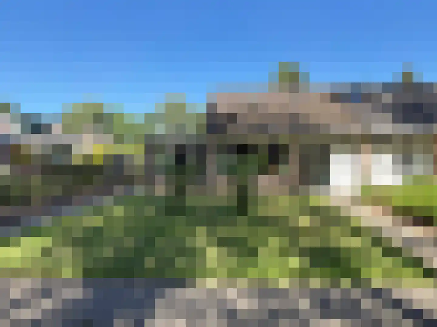 Langbos 10 Oosterhesselen thumbnail 6