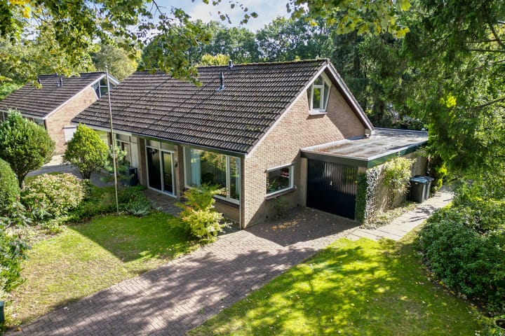 Langbos 2 in Oosterhesselen Foto