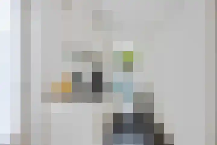 Langbos 2 Oosterhesselen thumbnail 13