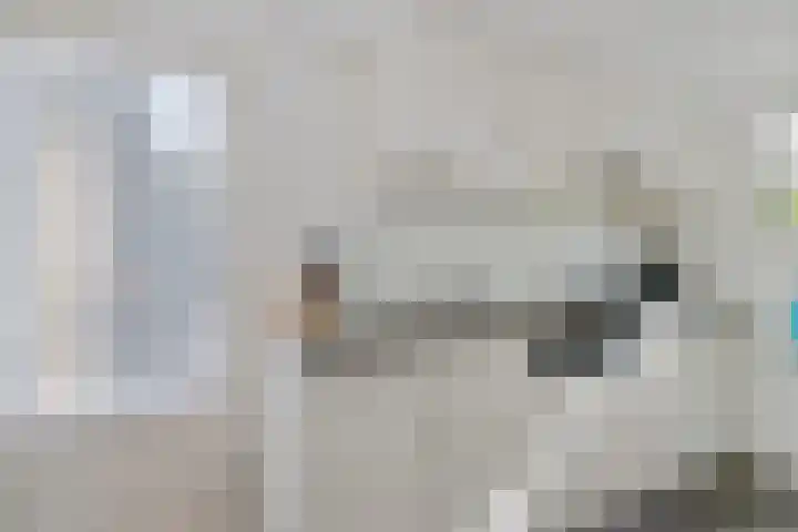 Langbos 2 Oosterhesselen thumbnail 14