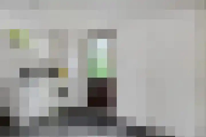 Langbos 2 Oosterhesselen thumbnail 15