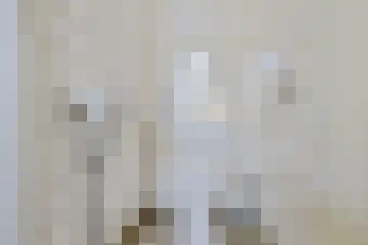 Langbos 2 Oosterhesselen thumbnail 20