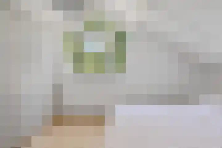 Langbos 2 Oosterhesselen thumbnail 22