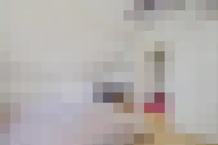Langbos 2 Oosterhesselen thumbnail 23
