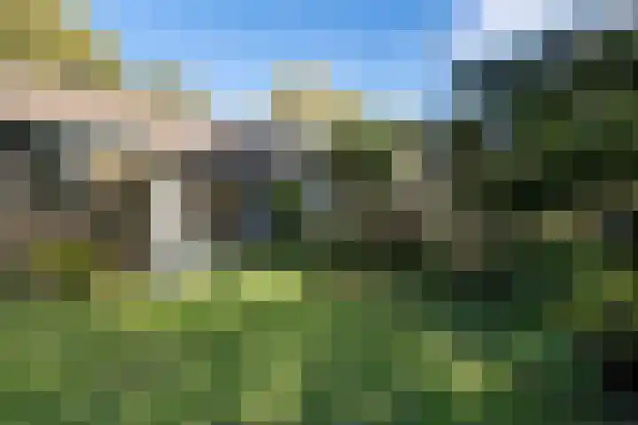 Langbos 2 Oosterhesselen thumbnail 27