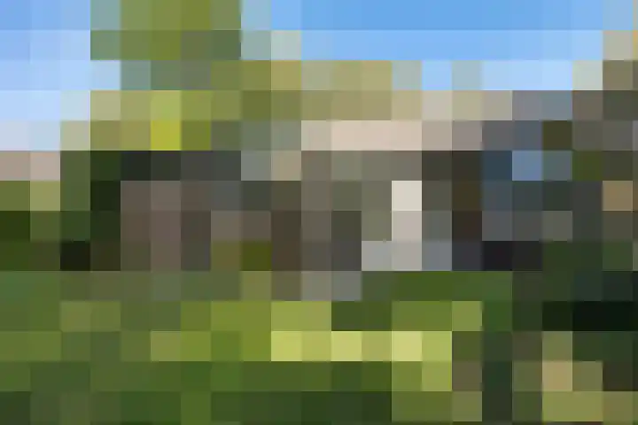 Langbos 2 Oosterhesselen thumbnail 28