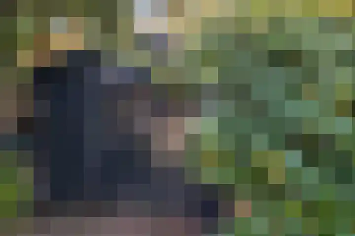 Langbos 2 Oosterhesselen thumbnail 29