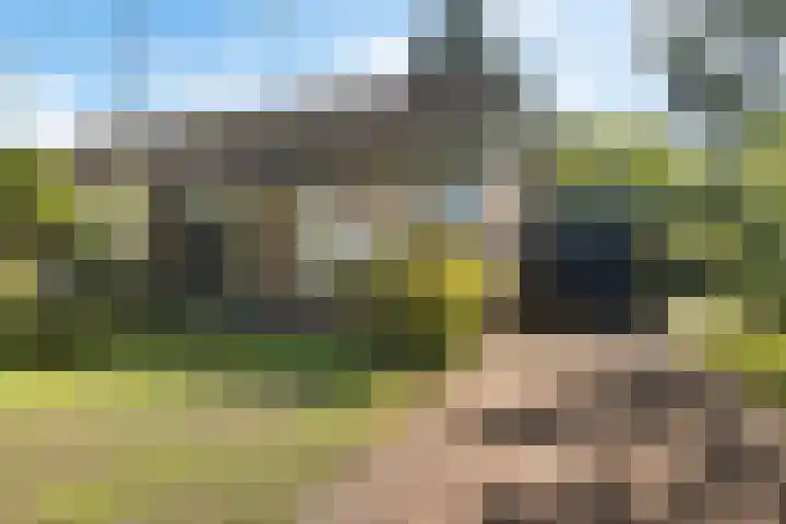 Langbos 2 Oosterhesselen thumbnail 30