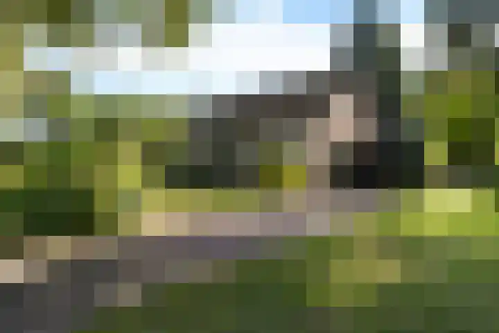 Langbos 2 Oosterhesselen thumbnail 32