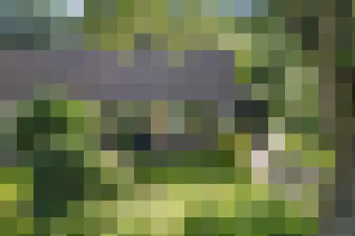 Langbos 2 Oosterhesselen thumbnail 34
