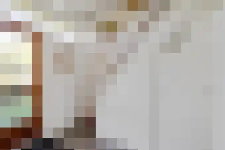 Langbos 2 Oosterhesselen thumbnail 5