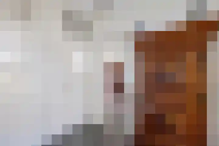 Langbos 2 Oosterhesselen thumbnail 6