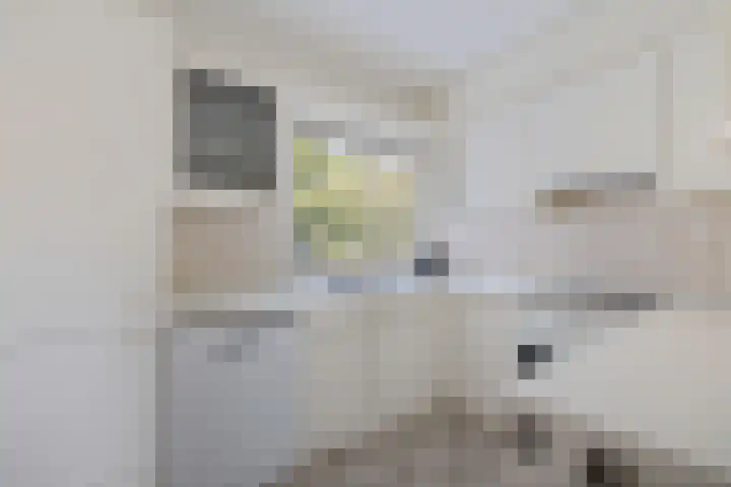Langbos 54 Oosterhesselen thumbnail 13