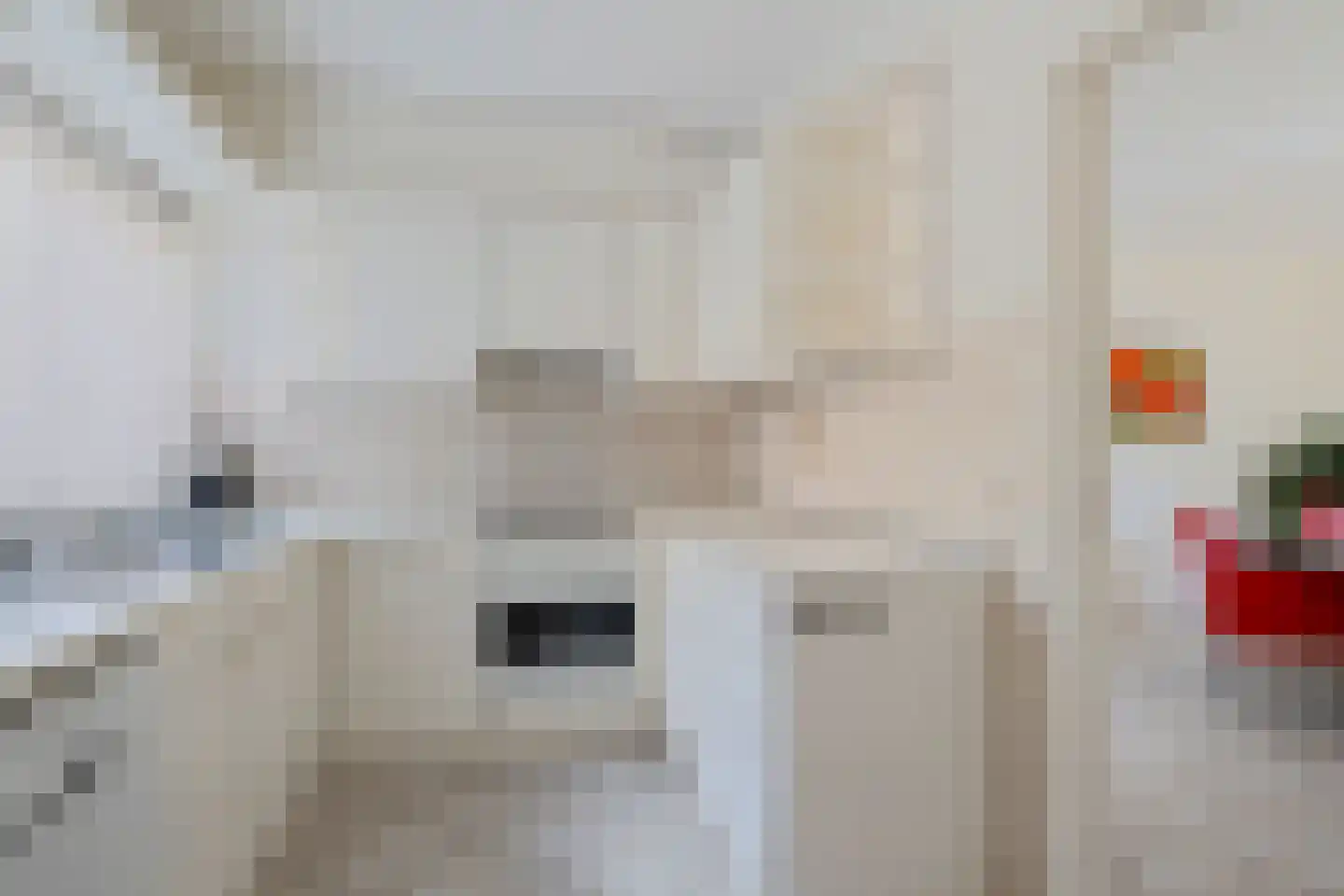 Langbos 54 Oosterhesselen thumbnail 14
