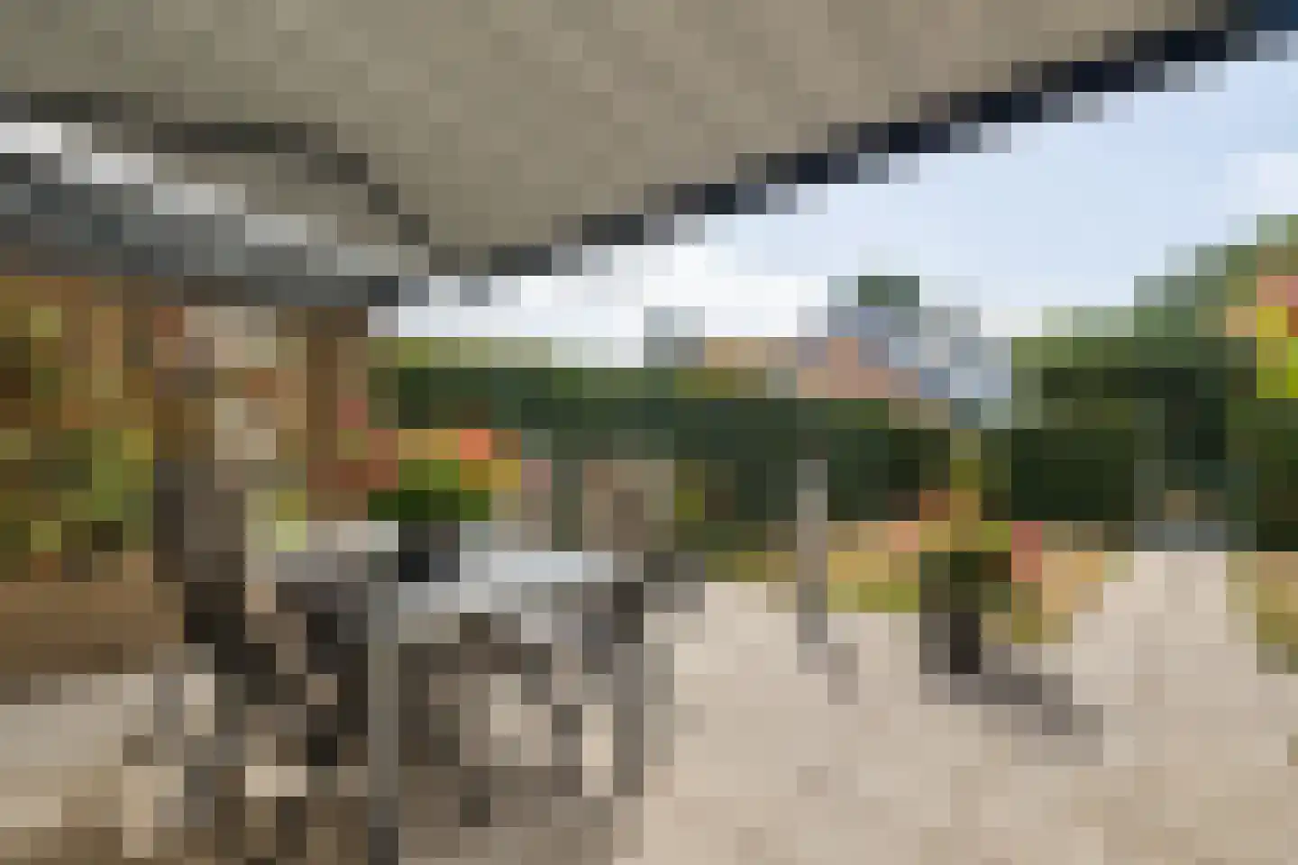 Langbos 54 Oosterhesselen thumbnail 33
