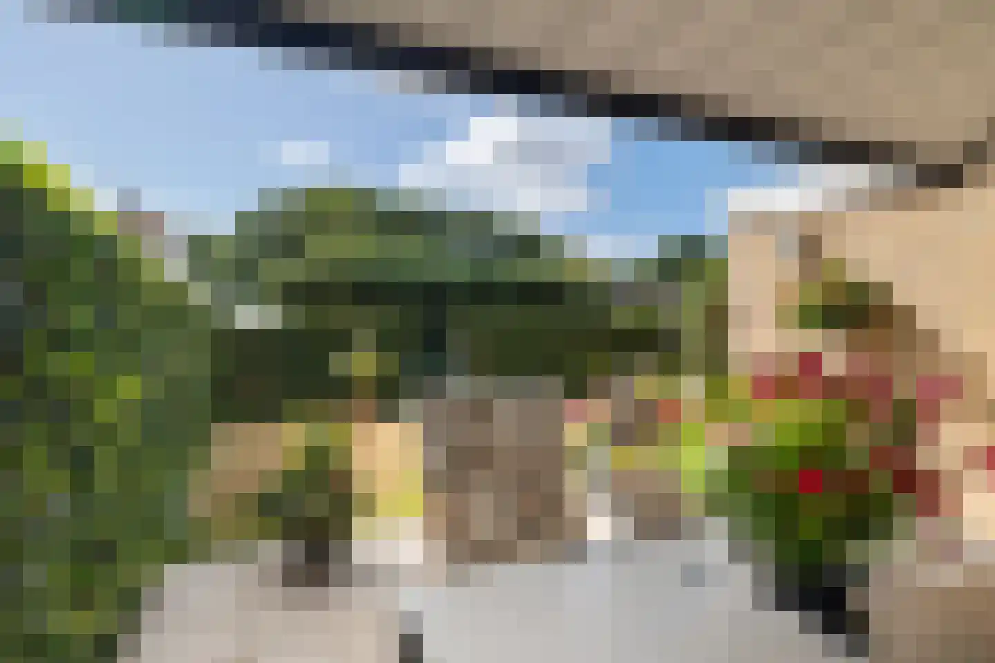 Langbos 54 Oosterhesselen thumbnail 34
