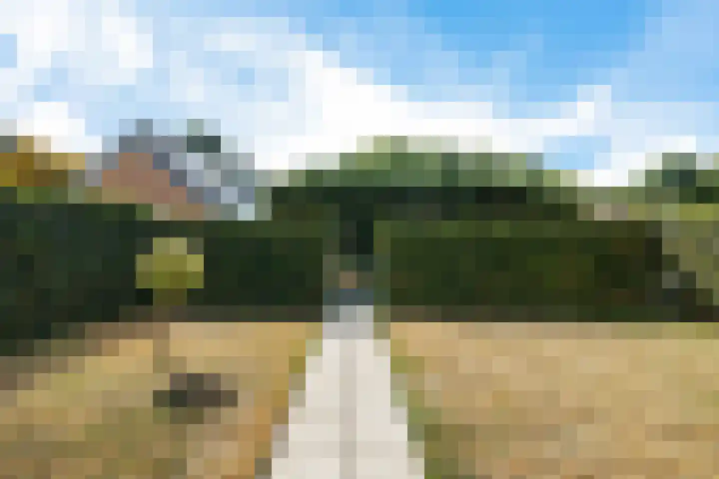 Langbos 54 Oosterhesselen thumbnail 35