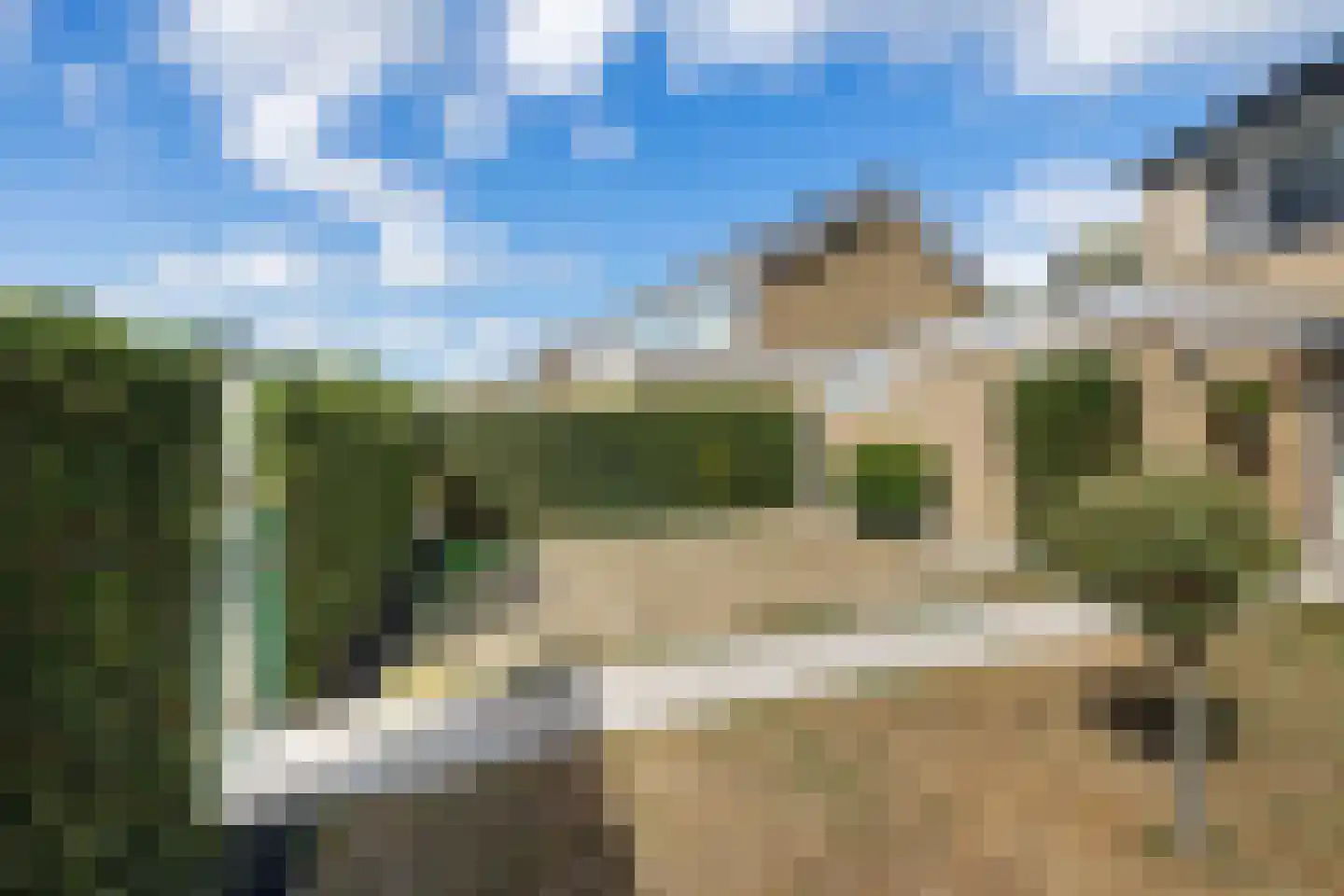 Langbos 54 Oosterhesselen thumbnail 36