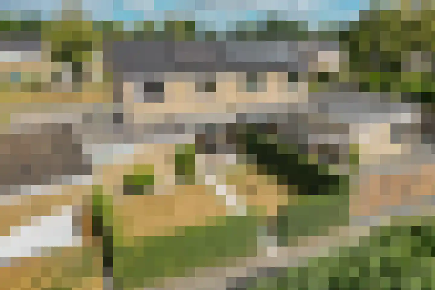 Langbos 54 Oosterhesselen thumbnail 38
