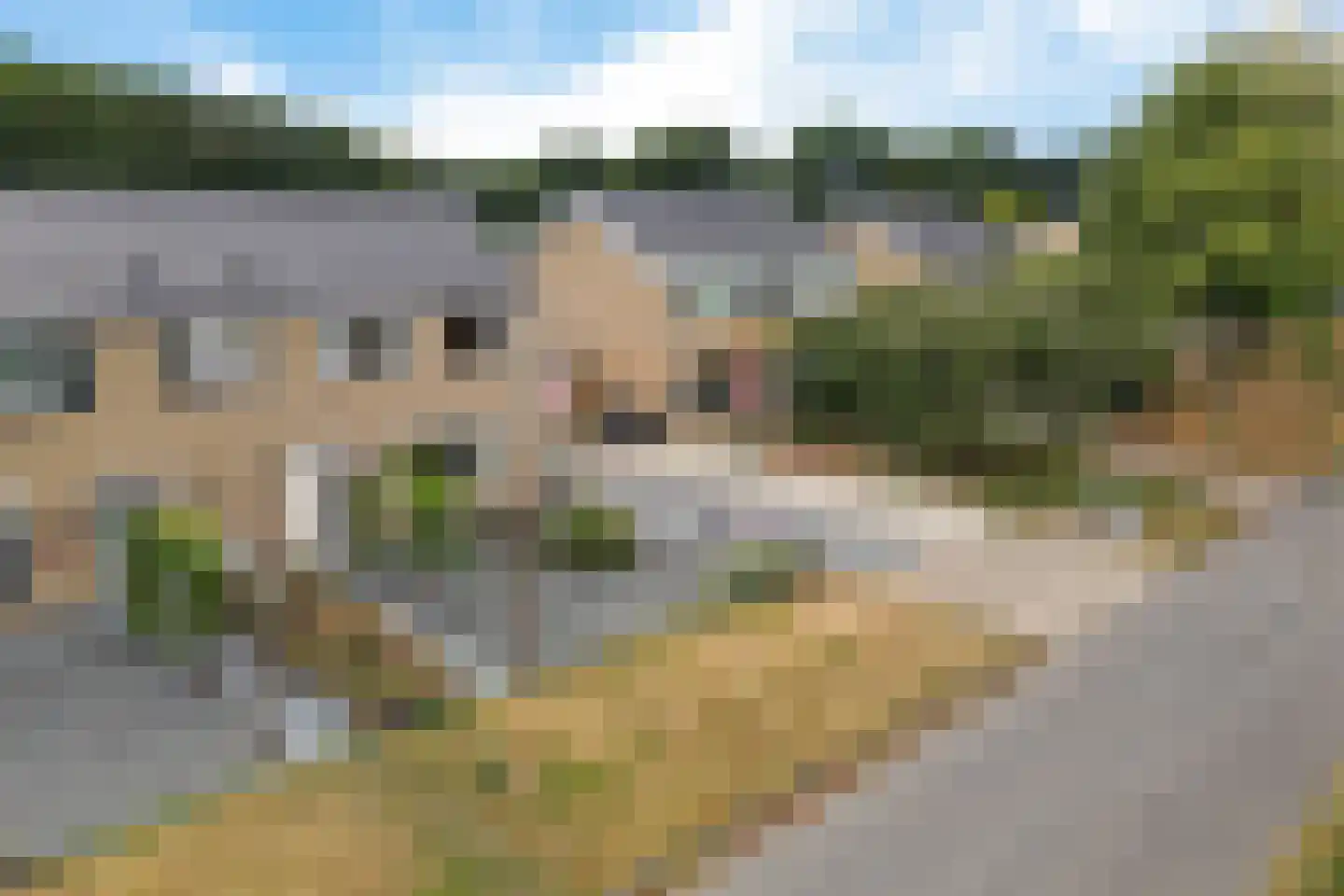 Langbos 54 Oosterhesselen thumbnail 41