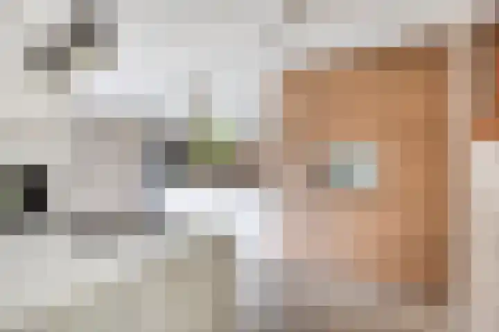 Langbree 7 Assen thumbnail 10