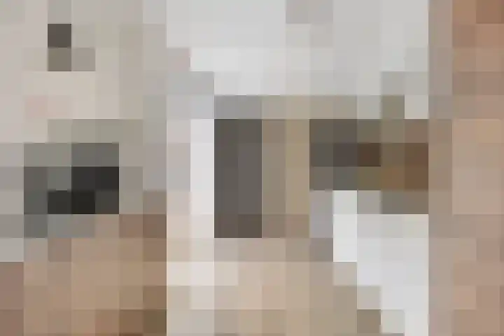 Langbree 7 Assen thumbnail 11