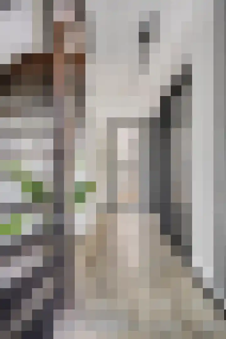 Langbree 7 Assen thumbnail 16