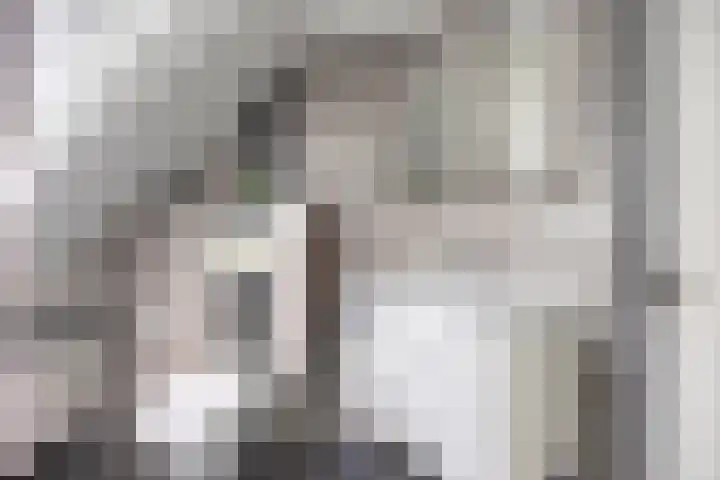 Langbree 7 Assen thumbnail 22