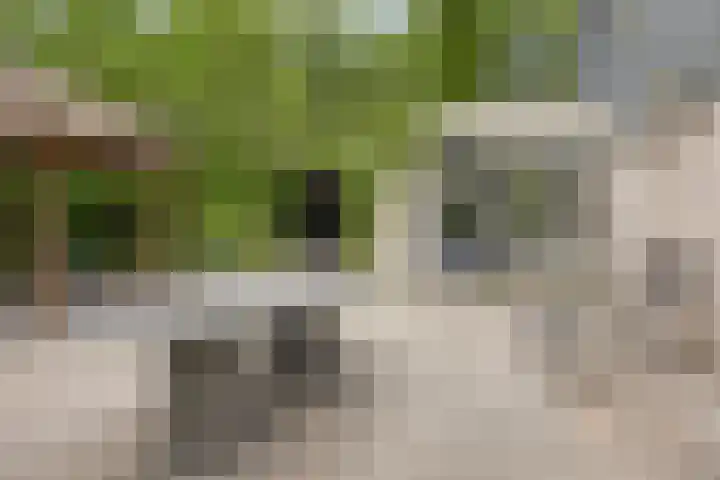 Langbree 7 Assen thumbnail 27