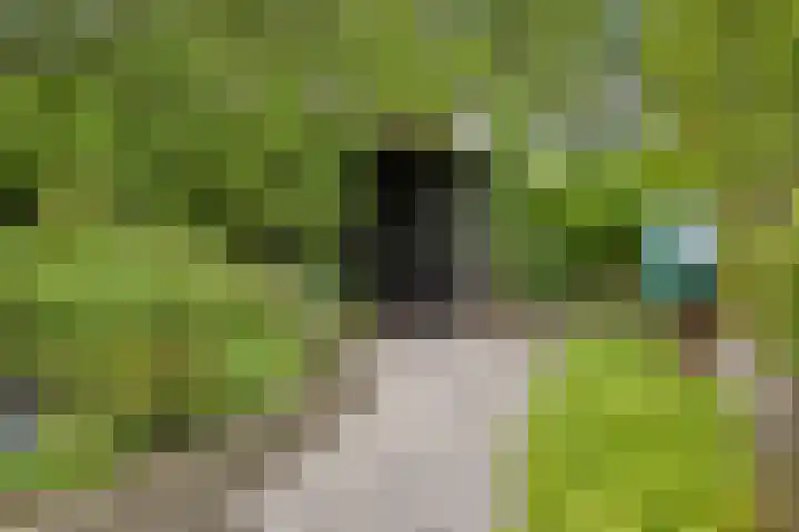 Langbree 7 Assen thumbnail 28