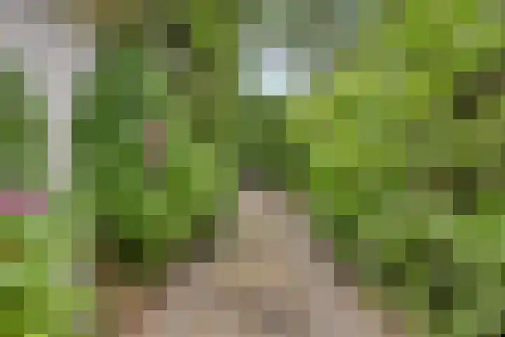 Langbree 7 Assen thumbnail 29