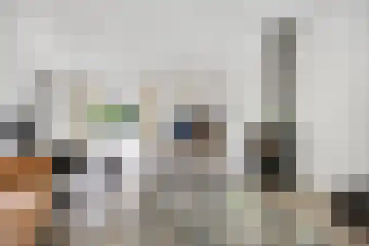 Langbree 7 Assen thumbnail 5